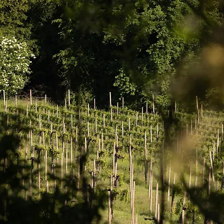 La Ginestra Mossa