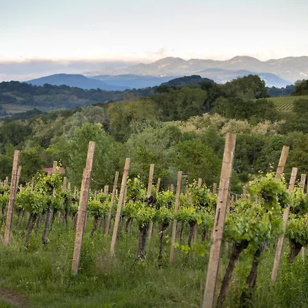 La Ginestra Апартаменты